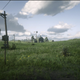 I took this one with Arthur’s camera.